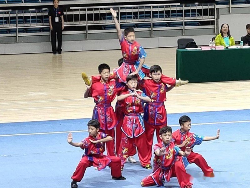 临沂武术学校:传承武术文化 引领未来英豪