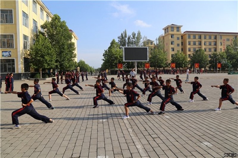 临沂武术学校最新动态：传统与现代交融的艺术殿堂