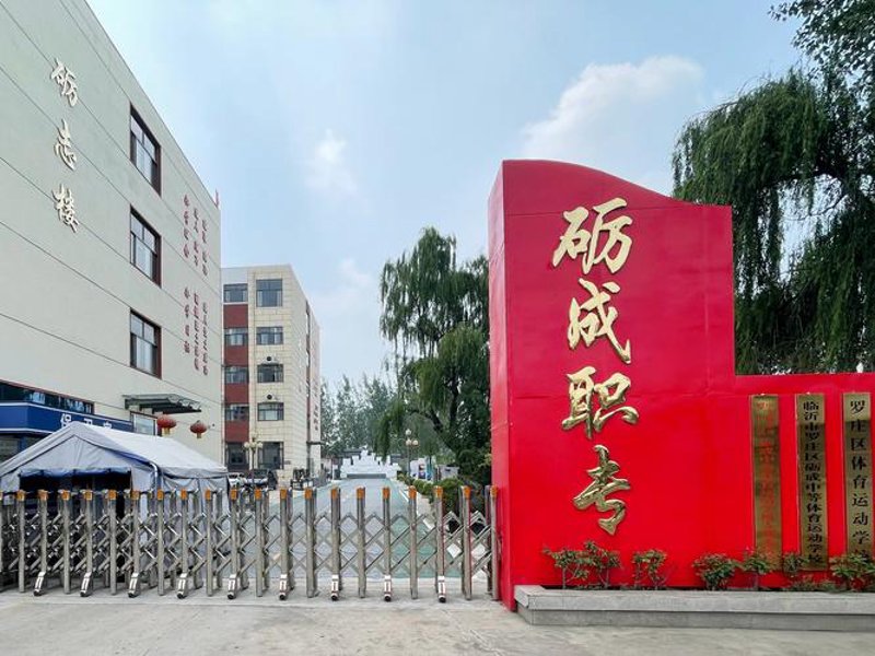 临沂武术学校:传承与创新并重的艺术殿堂