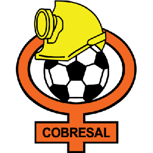  科布雷萨尔